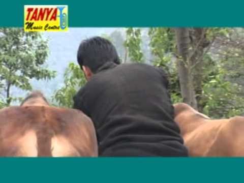 Sawano Bhijno dhovo | Himachali Folk Song | Ajay Verma | Tanya Music & Boutique | Himachali Hits