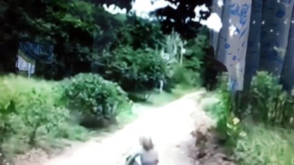 Alien in Cedros - Trinidad