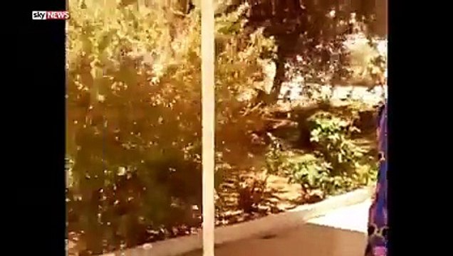 فيديو حصري يظهر شجاعة التونسيين في ملاحقة الإرهابي فيديو نشرته قناه سكاي نيوز منذ قليل ... يظهر كيف أن الحاضرين في النزل