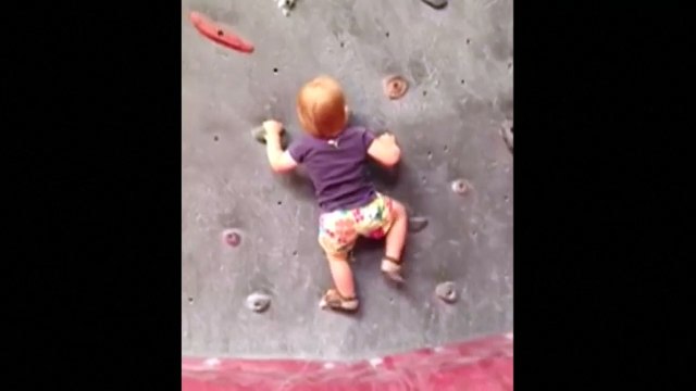 A 19 mois, elle escalade déjà des murs de 2 mètres