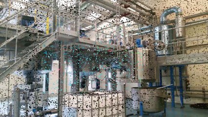 Extraction de graines de sarrasin BIO en direct et remplissage unidoses