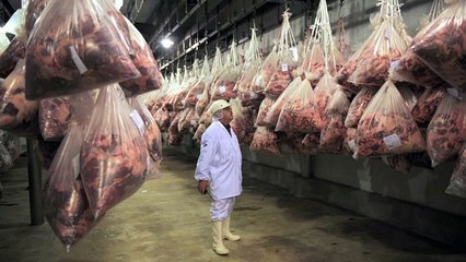 Decisão da Petrobras de investir menos agrada ao mercado