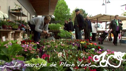 Les villes étapes 2015 : visitez Abbeville