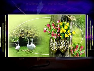 muziek bleu mountain   elkaar   Muziek & Entertainment   123video