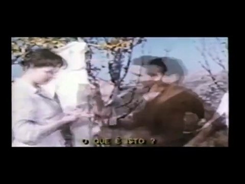 Compression Anna di Brooklyn de Vittorio de Sica et Carlo Lastricati (2015) de Gérard Courant