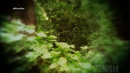 Mallika Sherawat Compilation of Hot Scene (HD) - Hiss.mp4