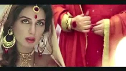 Fahad  Mustafa Mah e Meer Official Trailer