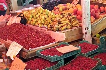 Chile: Valdivia - International Living