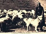 history of the Great Pyrenees