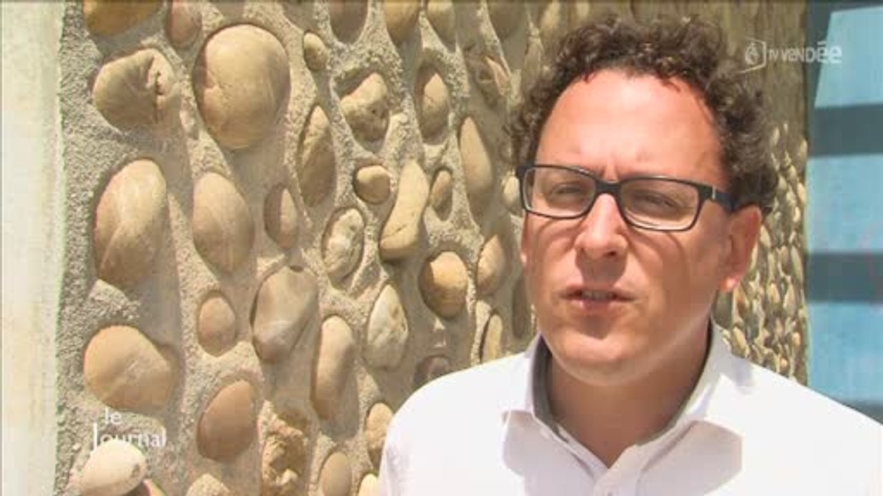 Nettoyage des plages : Des chevaux remplacent les tracteurs