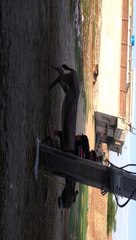 how can we impress aur girl friend