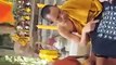 Monk Teaches Khmer Alphabet at Angkor Wat