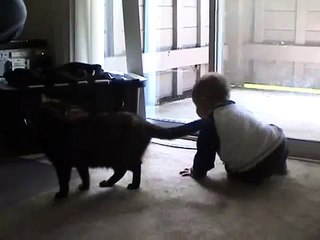 Dancing baby and startled cat!