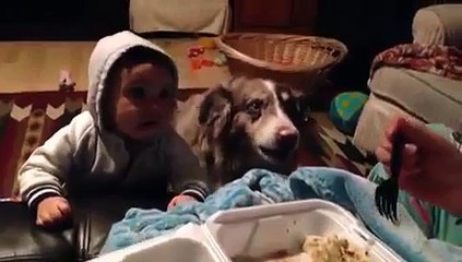 Dog Says Mama