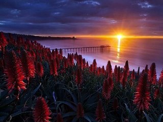 Amedeo Minghi - La vita mia