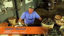 Crabs 101 with Johnny Graham