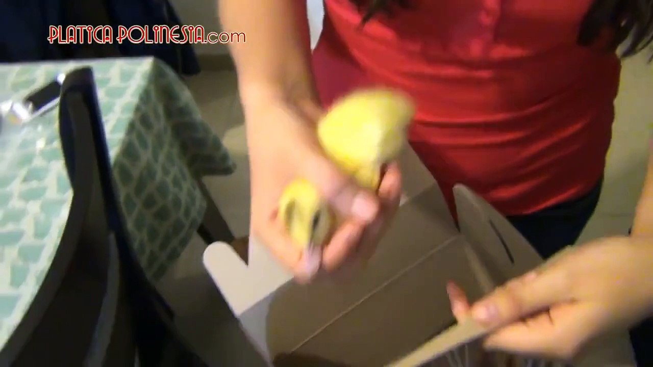 Patos que atacan mujeres | bromas pesadas, sustos de terror, bromas de miedo, bromas a mujeres