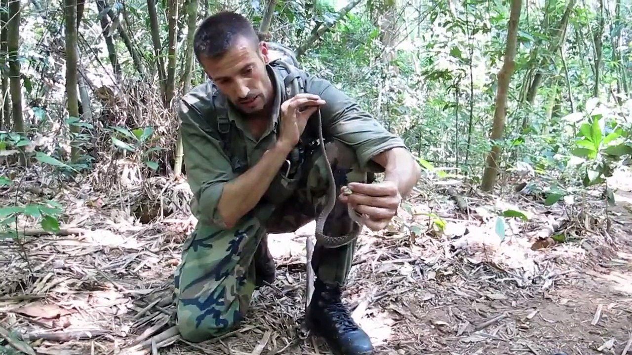 Rhabdophis subminiatus avec Daniel Morawska