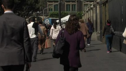 Dr. Luis Rubio. Diferencias entre la crisis en México y España