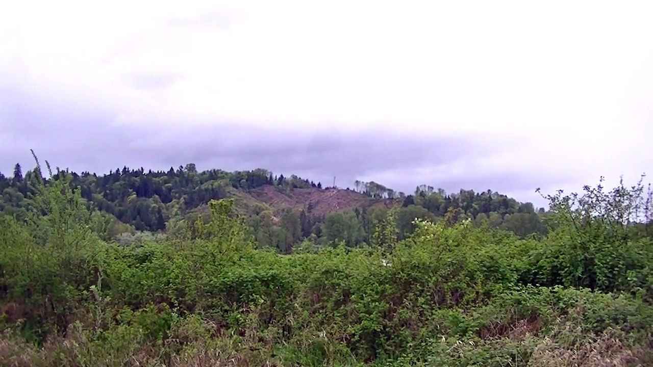 Madill 90' Tower logging Site