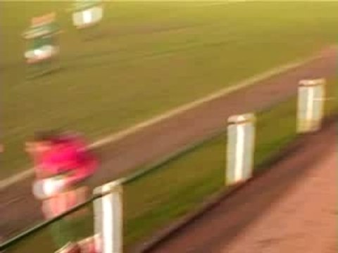 hier houden benji & berre zich mee bezig