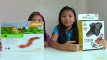 Innovation Scorpion and Giant Scolopendra Crawler Toys