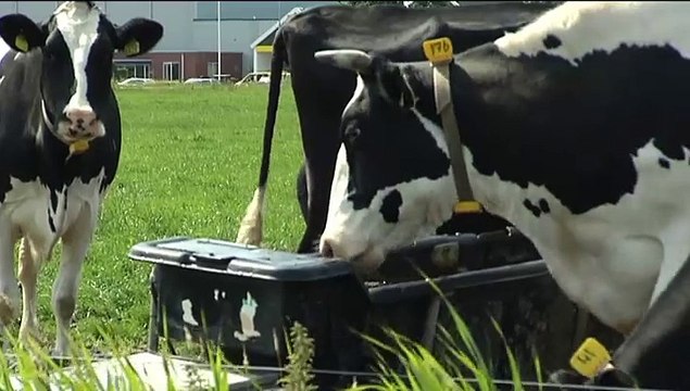 Het Weer: John bie de boer [29-6-2015] - RTV Noord