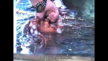 Octopus – How a Giant Pacific Octopus Eats