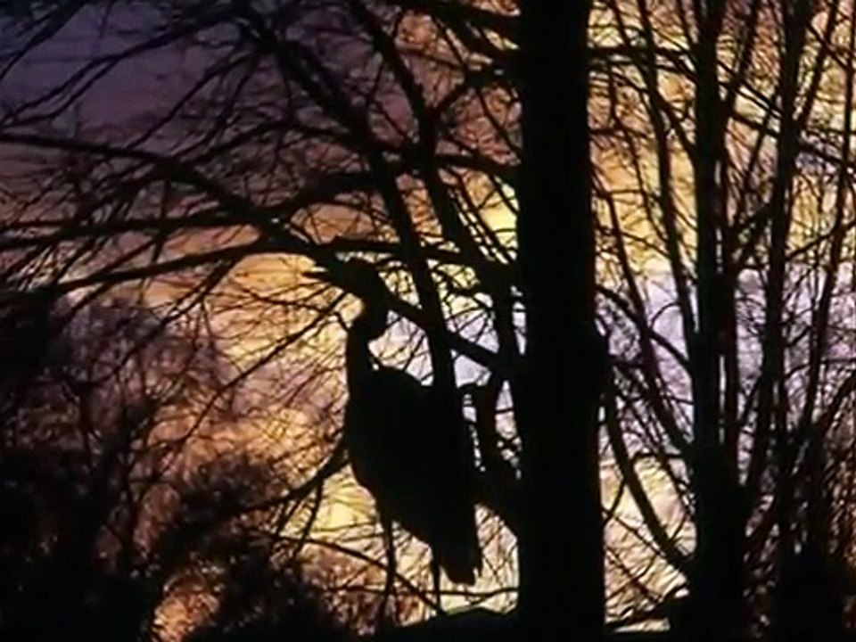 Turnam Yare Selam Söyle (Turnam Gidersen Mardine)