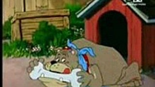 TOM AND JERRY IN (URDU)