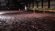A Jumping Excersise for horses who tend to rush