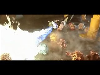 Ruby Rhod Seducing Flight Attendant Fifth Element