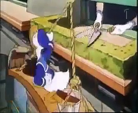 Donald Duck in mathmagic land dvd | Donald Duck cartoon