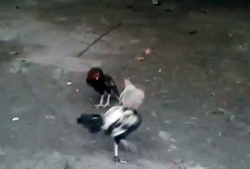 VID-20150604-WA0000.mp4