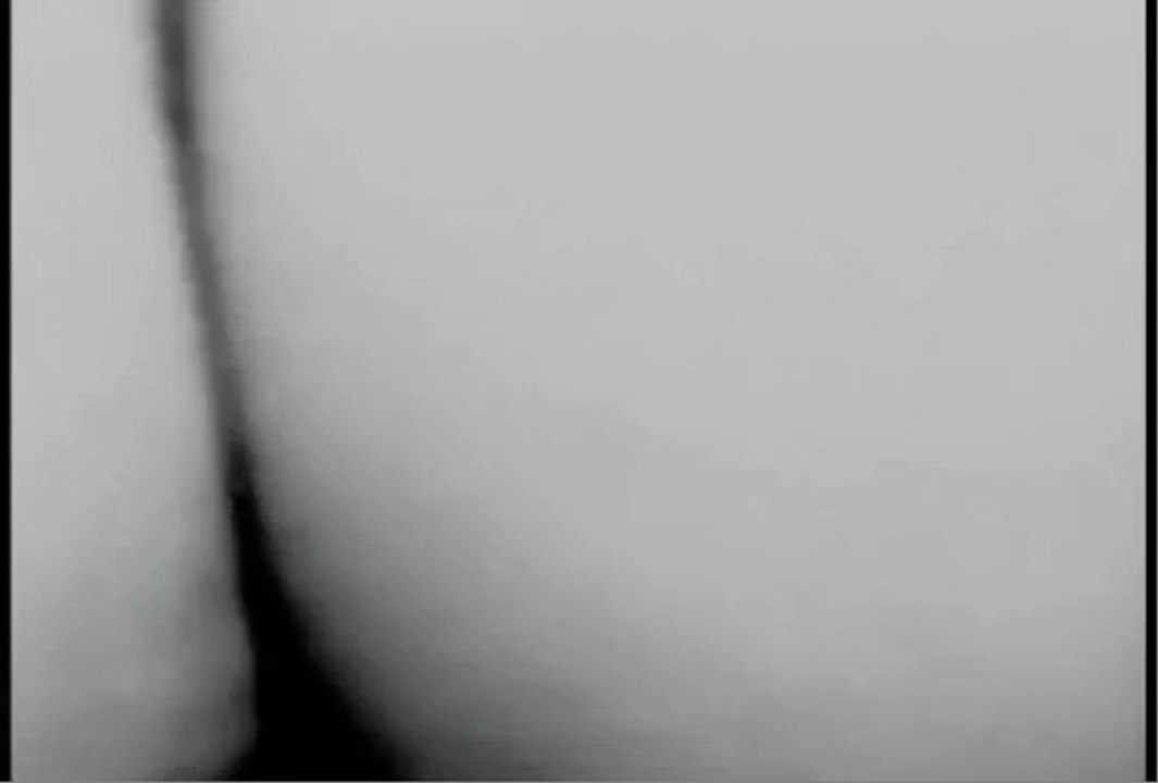 Fluxus yoko ono four