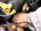 Checking and Replacing Coolant Hoses