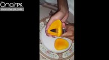 RFID Chips are Found in Mangoes which were imported from USA ..Must Watch