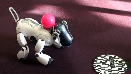 sony aibo