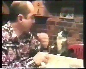 Cat Uses Sign Language