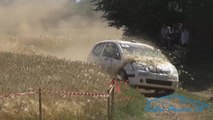 Rallye Terre de Langres 2015 [HD]