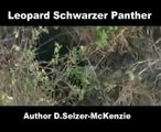 Leopard Schwarzer Panther Black Panther Tiere Animals Natur SelMcKenzie Selzer-McKenzie
