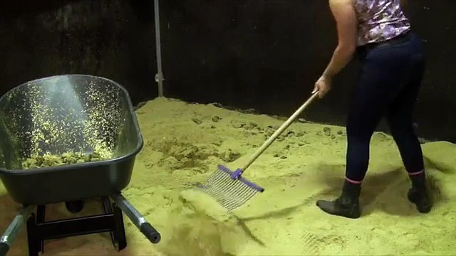 Cleaning a Horse Stable is super easy with Proteq Equine Bedding