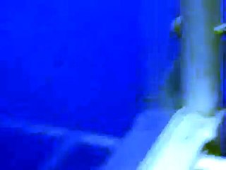 Swimming with Sharks