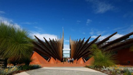 Ariel Lederman - A Day in the Life of a Marine Biologist