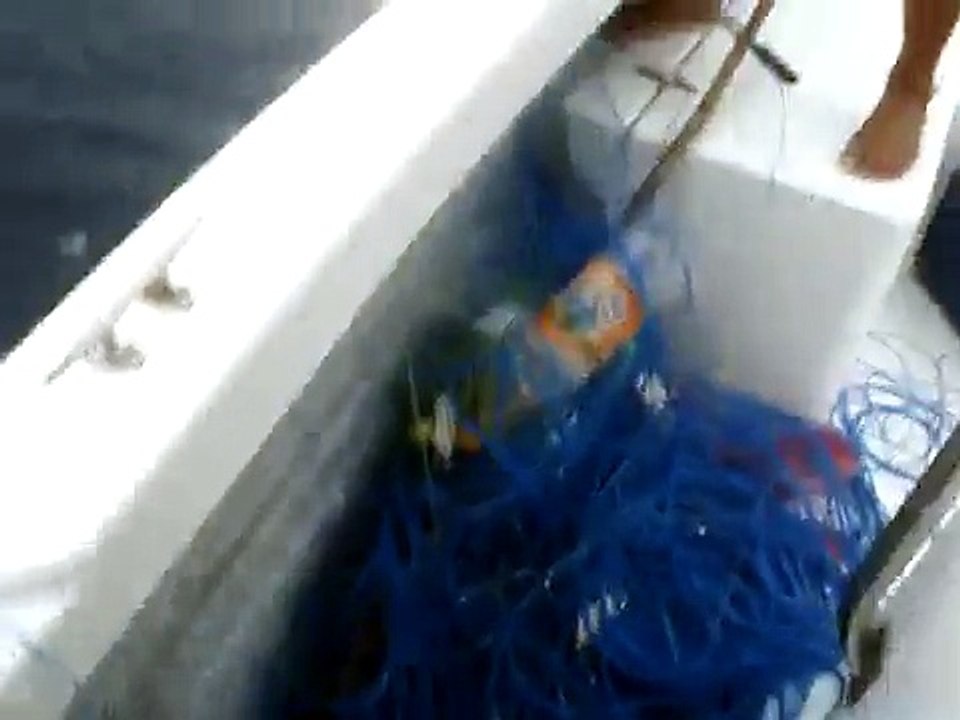 Pescadores irresponsables Cimbra