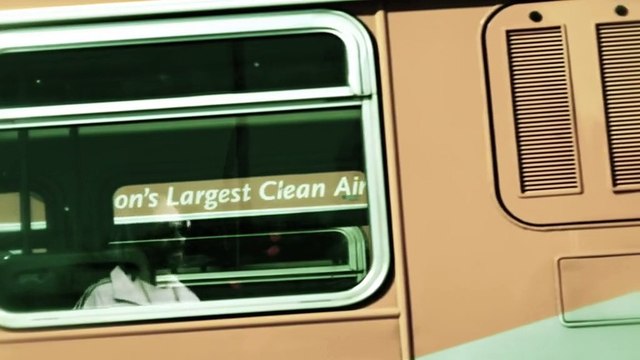 Snoop Lion (Snoop Dogg) estrena canci�n junto a Miley Cyrus