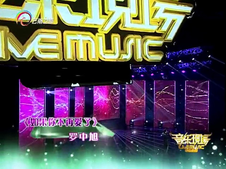 20150629 音乐现场 罗中旭星光灿烂20年