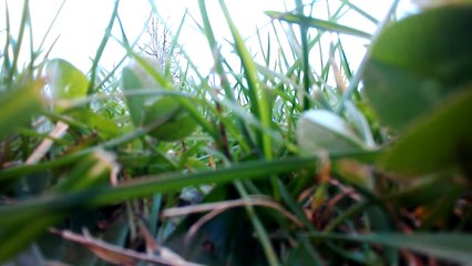 International power line exploded FPV