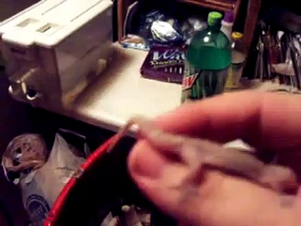caught a gecko