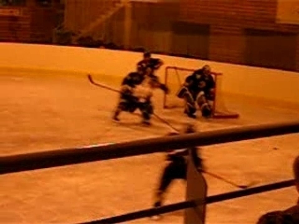 Hockey les renards de roanne